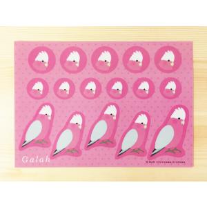 【モモイロインコ】オリジナルシール