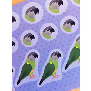 【ネズミガシラハネナガインコ】オリジナルシールの詳細画像1