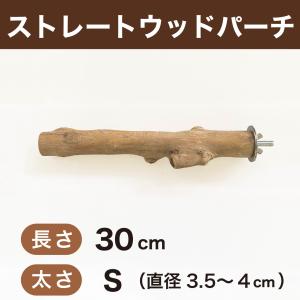 在庫処分品】ステンレスバードスタンド : えとぴりかオンライン