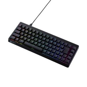 東プレ キーボード REALFORCE RC1 C1HJ13 [ブラック] : ユープラン