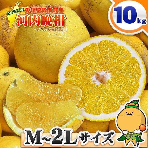 樹齢20年以上 河内晩柑 ご家庭用 10kg 愛媛県 愛南町産  M〜2L  自宅用 訳あり 箱買い...