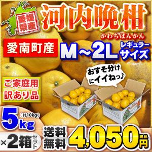樹齢20年以上 河内晩柑 ご家庭用 小箱5kg...の詳細画像1
