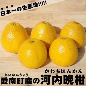 樹齢20年以上 河内晩柑 ご家庭用 小箱5kg...の詳細画像3