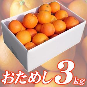 ブラッドオレンジ モロ 3kg 自宅用 愛媛県...の詳細画像2