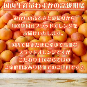 ブラッドオレンジ モロ 3kg 自宅用 愛媛県...の詳細画像3