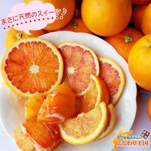 ブラッドオレンジ モロ 3kg 自宅用 愛媛県...の詳細画像5