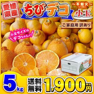 愛媛県産 ちびデコ 5kg 家庭用 自宅用 訳あり デコポン と同品種 不知火 しらぬい ポンカン × 清見 の高級 みかん 5キロ 箱買い