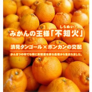 愛媛県産 デコちゃん 9kg 家庭用 自宅用 ...の詳細画像2