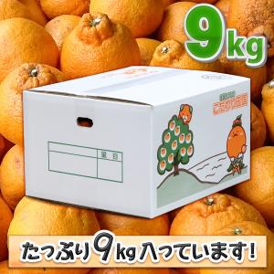 愛媛県産 デコちゃん 9kg 家庭用 自宅用 ...の詳細画像3