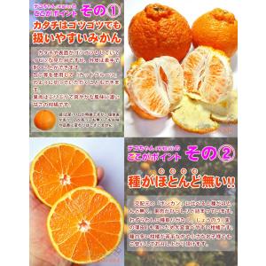 愛媛県産 デコちゃん 9kg 家庭用 自宅用 ...の詳細画像5
