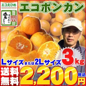 (エコえひめ認証) 愛媛県産 山下さんのエコポンカン ３ｋｇ (送料無料 一部地域を除く) 安心のエコ栽培 ワックス 除草剤 化学肥料不使用