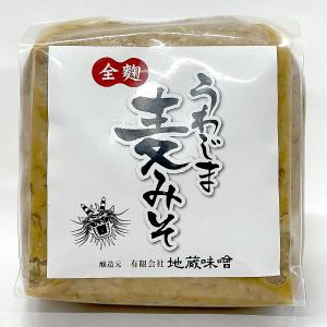 コシヒカリ 令和7年産新米 三間米 こしひかり一等米 玄米30kg または