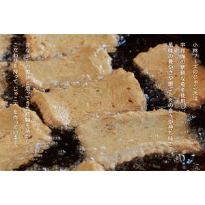 【小林フーズ】 特上 手造りじゃこ天 1枚 単品の詳細画像3