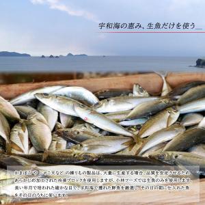 【小林フーズ】 特上 手造りじゃこ天 1枚 単品の詳細画像4