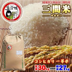 平成29年産 新米 愛媛県産三間米(みま) コシヒカリ 玄米...