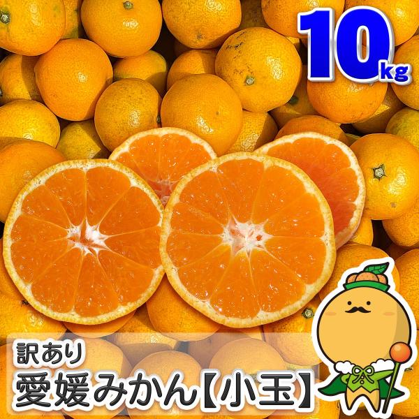 訳あり 愛媛みかん 小玉サイズ 10kg 愛媛県産 自宅用 家庭用 訳あり 宇和島 西宇和 箱買い ...
