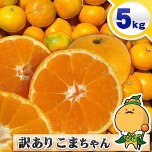 訳あり 愛媛みかん 小玉サイズ 5kg 愛媛県産 自宅用 家庭用 訳あり 箱買い 小粒 早生 蜜柑 5キロ
