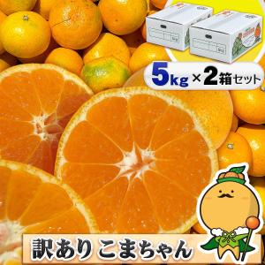 訳あり こまちゃん 5kg×2箱セット 愛媛県産 小玉みかん 自宅用 家庭用 訳あり 宇和島 箱買い 小粒 早生 蜜柑 10キロ