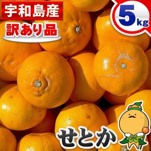 愛媛県産 訳あり せとか ５ｋｇ 宇和島産【送料無料※一部地域を除く】 ５キロ 箱買い