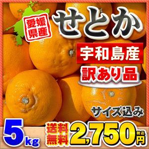 愛媛県産 訳あり せとか 5kg 宇和島産【送...の詳細画像1