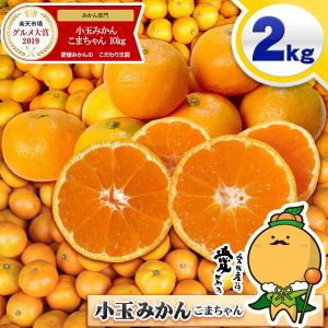 小玉みかん こまちゃん お試し用 2kg 愛媛県...の商品画像