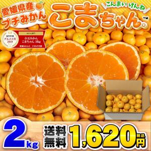 小玉みかん こまちゃん お試し用 2kg 愛媛...の詳細画像1