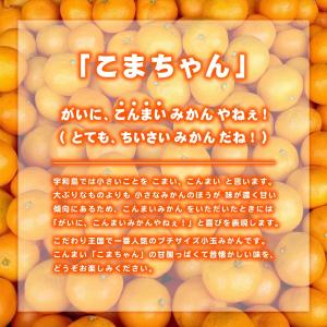 小玉みかん こまちゃん お試し用 2kg 愛媛...の詳細画像3