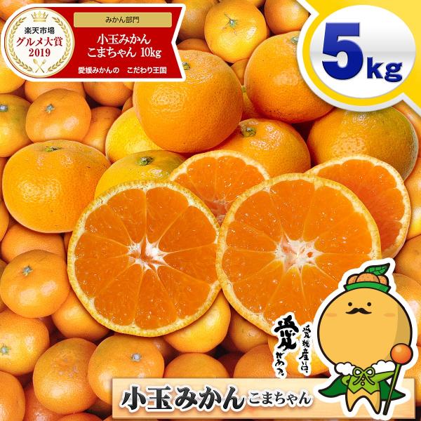 愛媛県産 小玉 みかん こまちゃん 5kg 家庭用 自宅用 訳あり 愛媛みかん 送料無料 プチ 小粒...