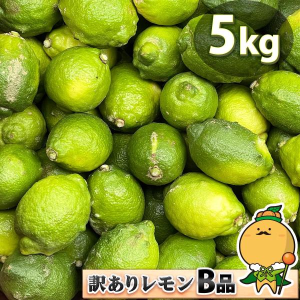 愛媛県産 訳あり レモン B品 5kg ご家庭用 ５ｋｇ 箱買い サイズ込み 国産 愛媛 宇和島 か...