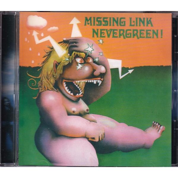 【新品CD】 Missing Link / Nevergreen