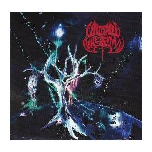 【新品CD】 CARDINAL WYRM / BLACK HOLE GODS｜euclid