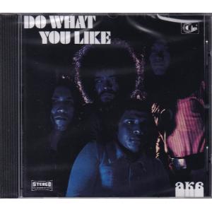 【新品CD】 Aka / Do what you like｜euclid