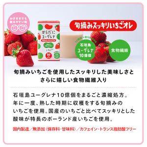 【公式】 からだにユーグレナ ドリンク3種類ア...の詳細画像3