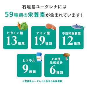 【公式】 からだにユーグレナ プレミアム グリ...の詳細画像4