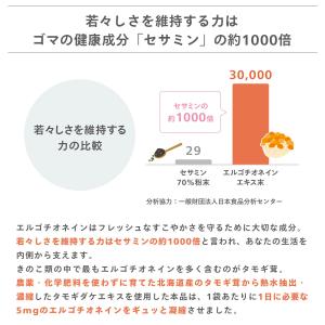 【公式】 かしこい 健康 栄養 素 エルゴチオ...の詳細画像2