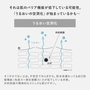 【公式】 ネッコ トライアルセット(ブースター...の詳細画像4
