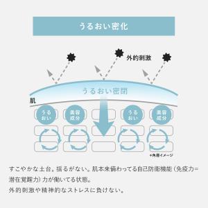 【公式】 ネッコ トライアルセット(ブースター...の詳細画像5
