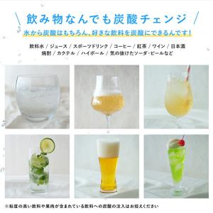 ドリンクメイト 交換用 炭酸ガスシリンダー 1...の詳細画像3