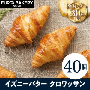 冷凍パン イズニーバタークロワッサン パン 通販 人気