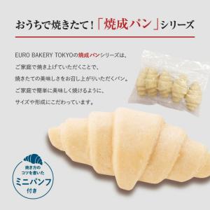 冷凍パン パンオショコラ【20個】チョコレート...の詳細画像5