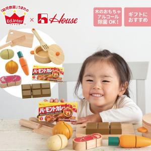 Ed.inter エドインター ままごと バーモントカレーセット 木のままごとあそび 食育 ハウス食品 木のおもちゃ｜eurobus