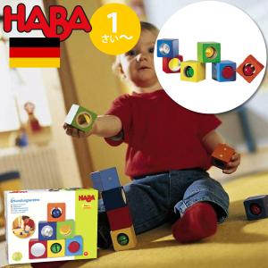 HABA ハバ  ベビーブロック ディスカバリー ドイツ 1歳 ブラザージョルダン 積み木 パズル ブロック 知育玩具｜eurobus