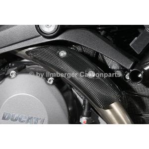ILMBERGER: Ducati 696 / 1100 Monster用  ヒートガード(マニフォールド)｜eurodirect