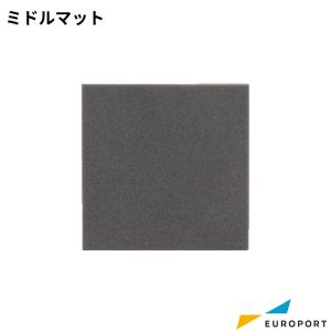 Tシャツくん フレームネジ2個入 ミドル・ワイド・Pro用 HR-101790024