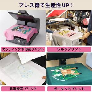 自動アイロンプレス機 ネプチューンワイドアドバ...の詳細画像2