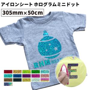 ホログラムミニドットRHM 305mm×50cm...の商品画像