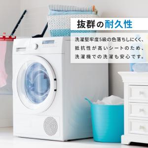 艶消スタンダード RMS 特別色 500mm×...の詳細画像5