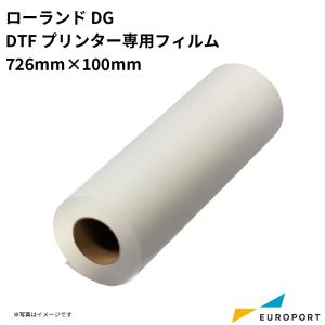 ローランド DC TrueVIS TR2インク ライトシアン ローランド DC TrueVIS TR2インク ライトシアン