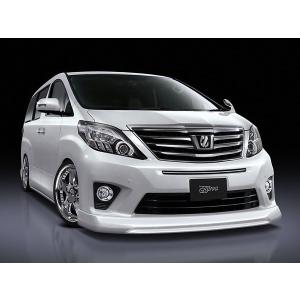 20系アルファード ヴェルファイア キャンバープレート 1度 3度