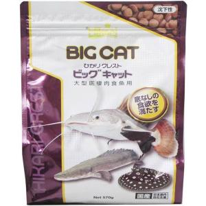 AZアゼット adult 並粒　5kg AZアゼット adult 並 5kg : EVクリエイト岡山 - 通販 - Yahoo!ショッピング